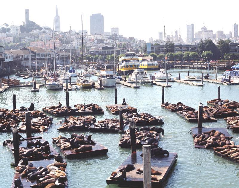 Courtyard By Marriott Fishermans Wharf San Francisco Dış mekan fotoğraf